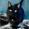 vampiekitty